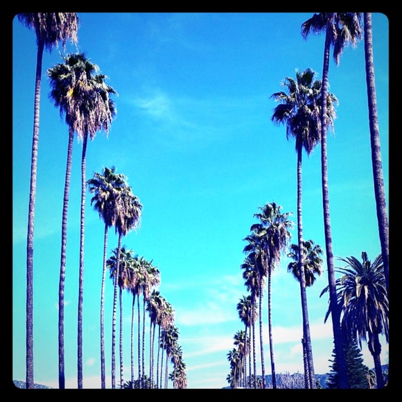 Meet your Posher, Christopher - Picture 1 of 1